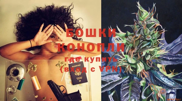 spice Богородск