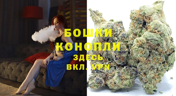 мдпв Бронницы