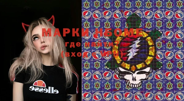 прущие грибы Балабаново