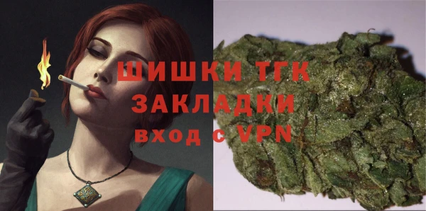 spice Богородск