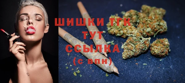 spice Богородск